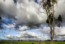 关于拜仁慕尼黑训练开放日，关键时刻止住颓势引欢呼，德甲在即，资深球员宣示担当的信息-LOL赛事赛程